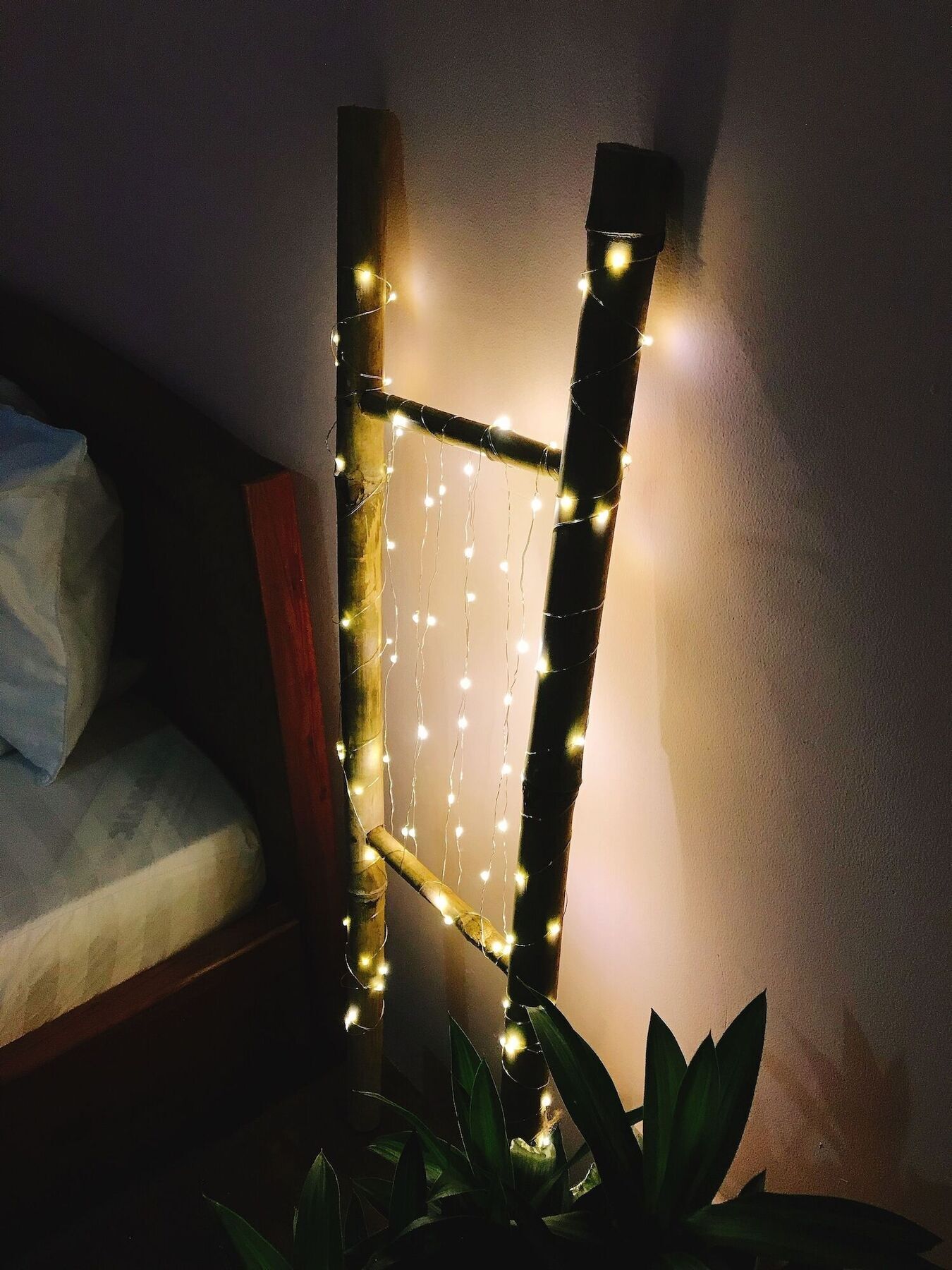Bee Tropicool *