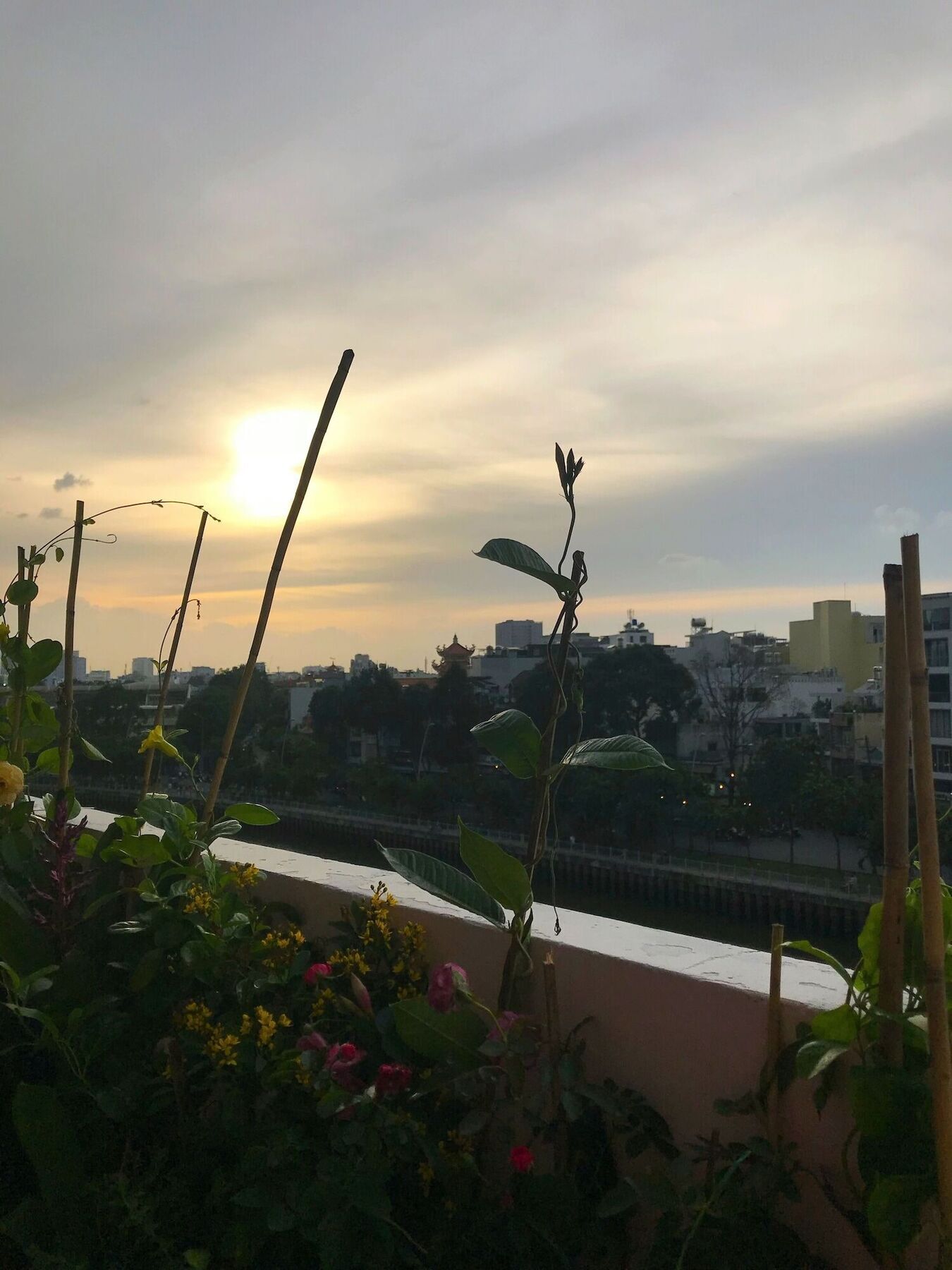 Bee Tropicool Apartment