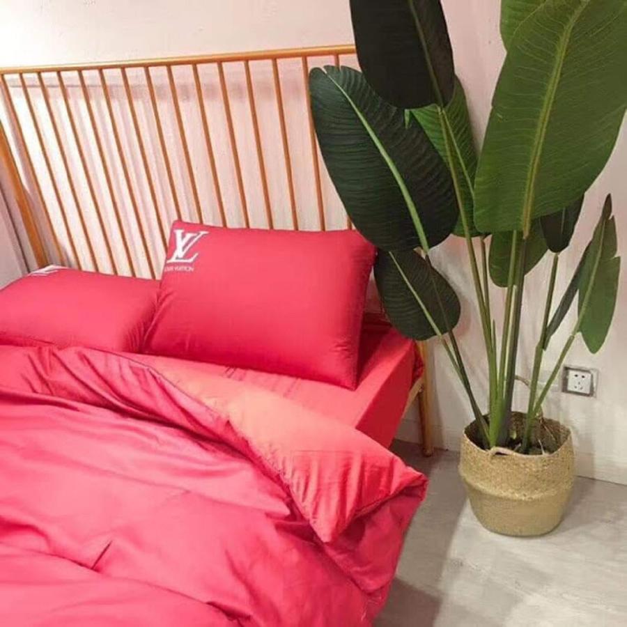 Ở trọ Homestay In 3d *