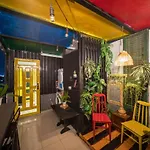 Cactusland Homestay - Tran Hung Dao
