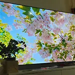 花ren Hostel