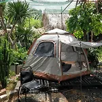 Cactos Chill & Homestay