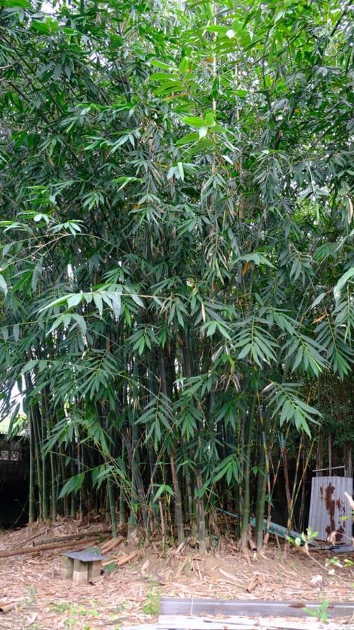 Vuon Nha Ngoai Garden Homestay