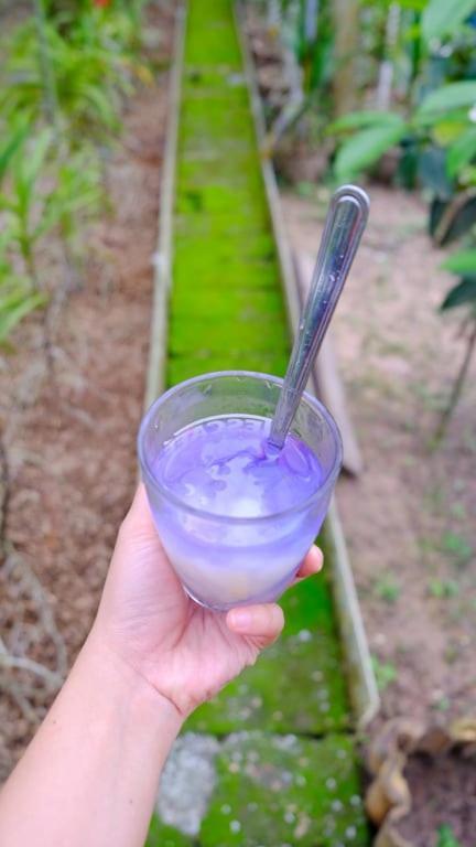 Homestay Vuon Nha Ngoai Garden *