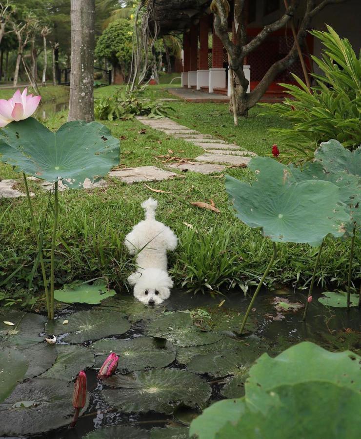 Les Hameaux De L'orient 3* Bandar Ho Chi Minh