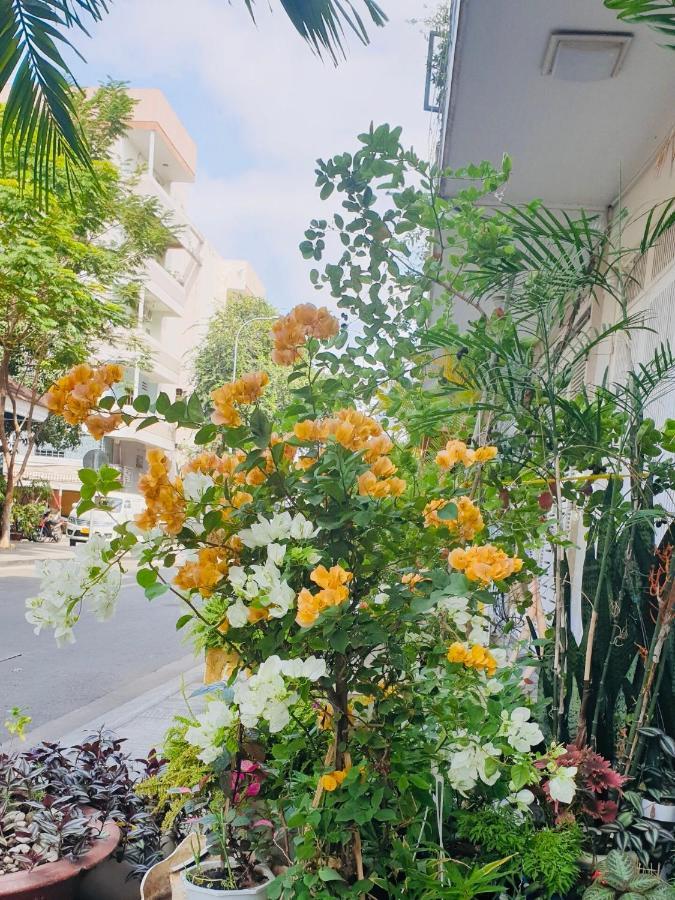 Khách sạn Chez Lotus Vn *