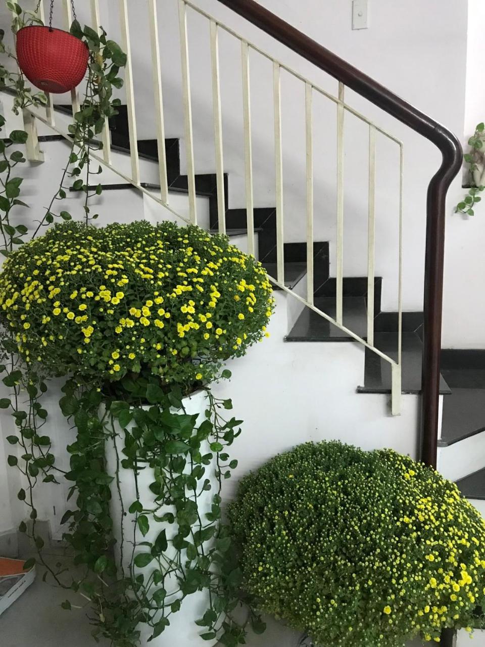 Vanapartment Pangsapuri *