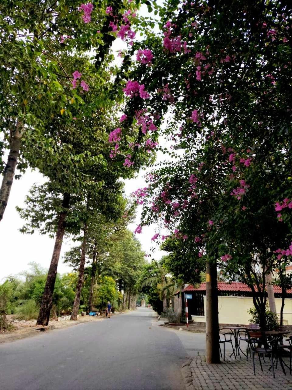 Homestay Thule *
