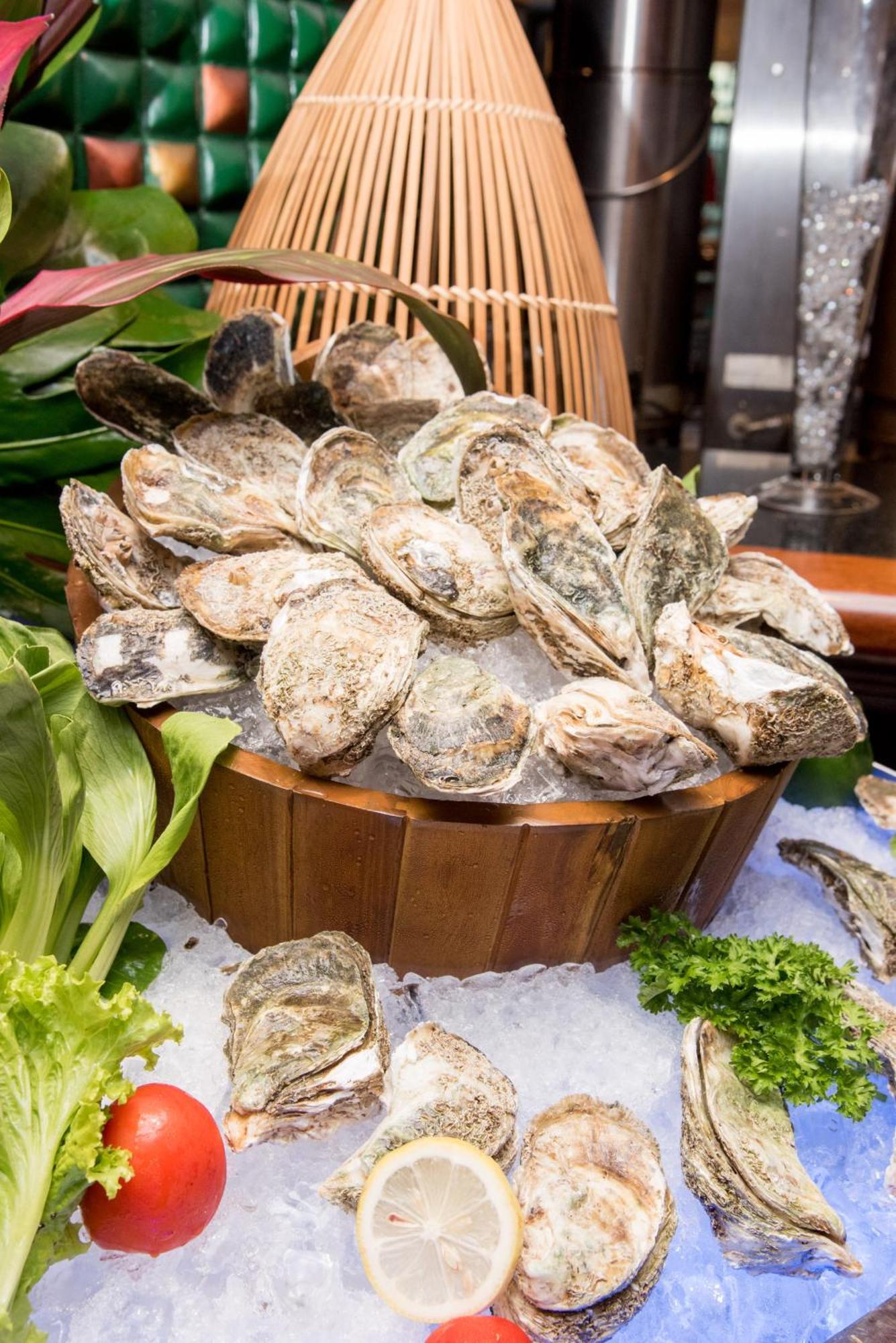 Windsor Plaza Khách sạn TP. Hồ Chí Minh