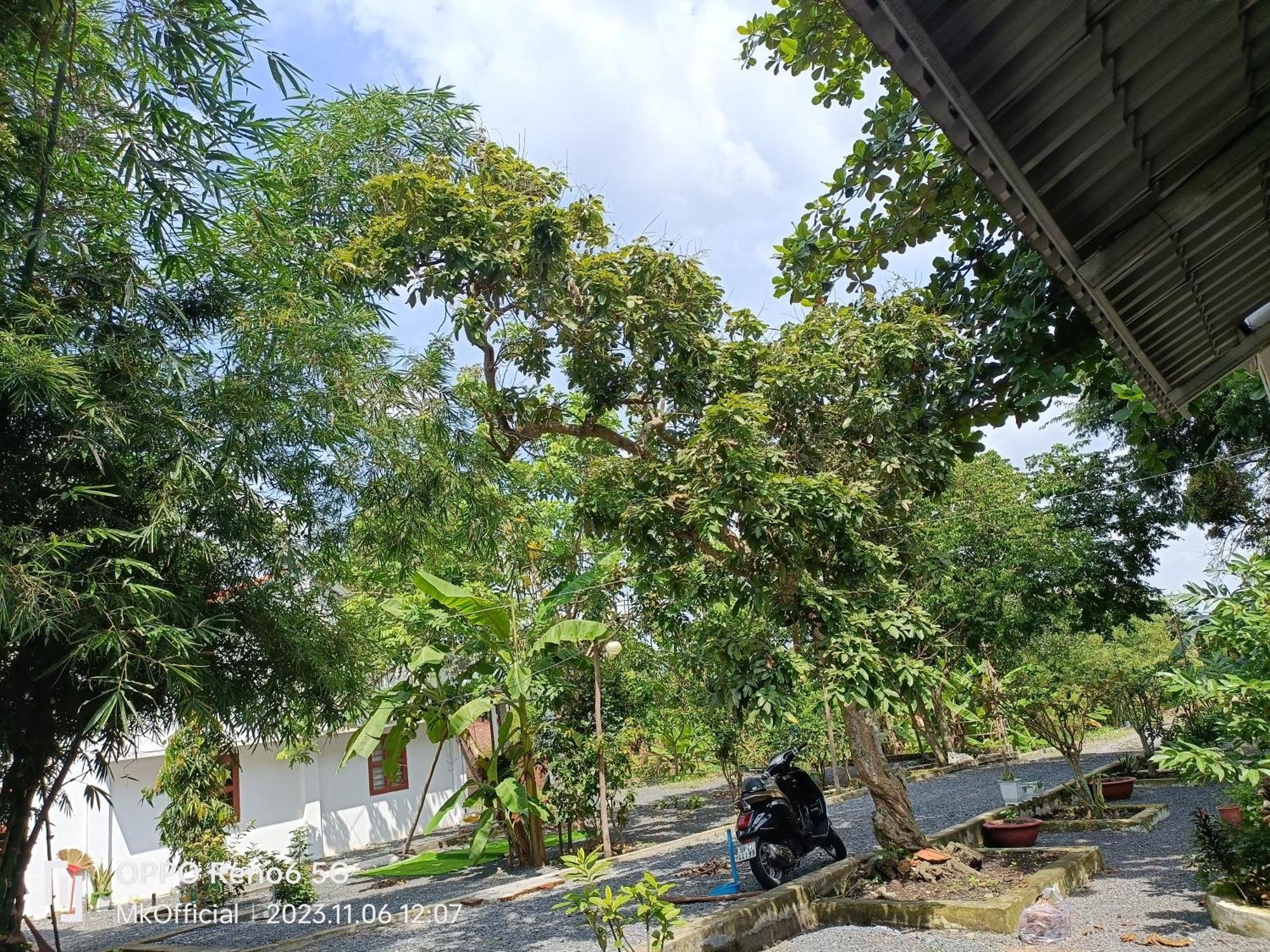 Homestay Me Khang 2 *