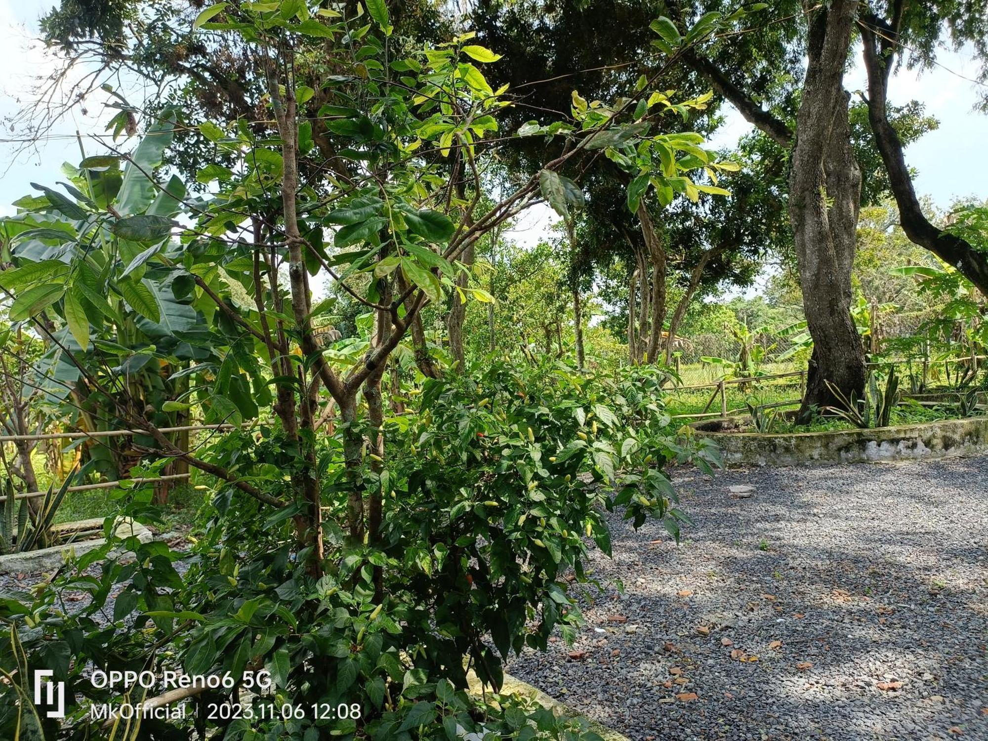 Homestay Me Khang 2