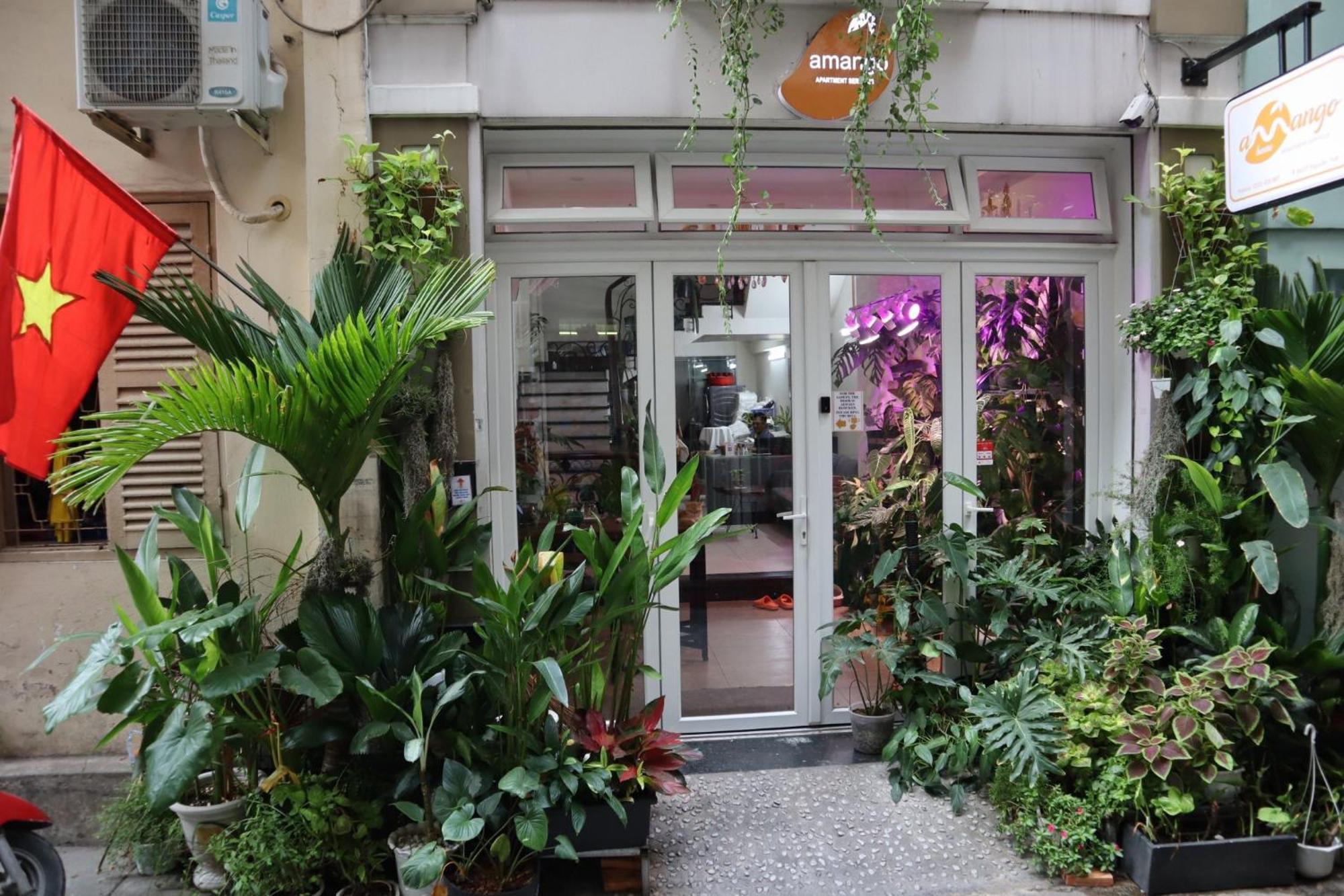 Amango Dorm Hostel Ho Chi Minh City