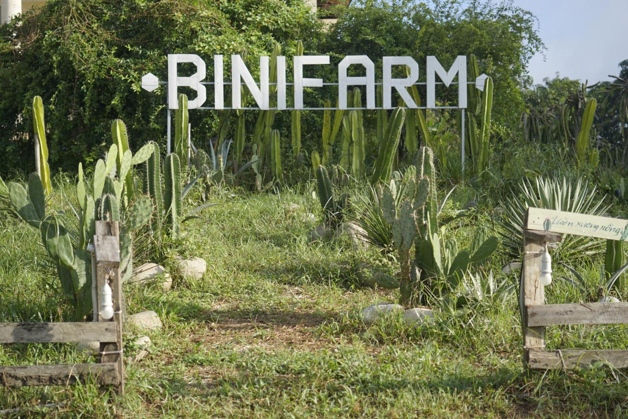 Binifarm Tropical Retreat Luxury tent *