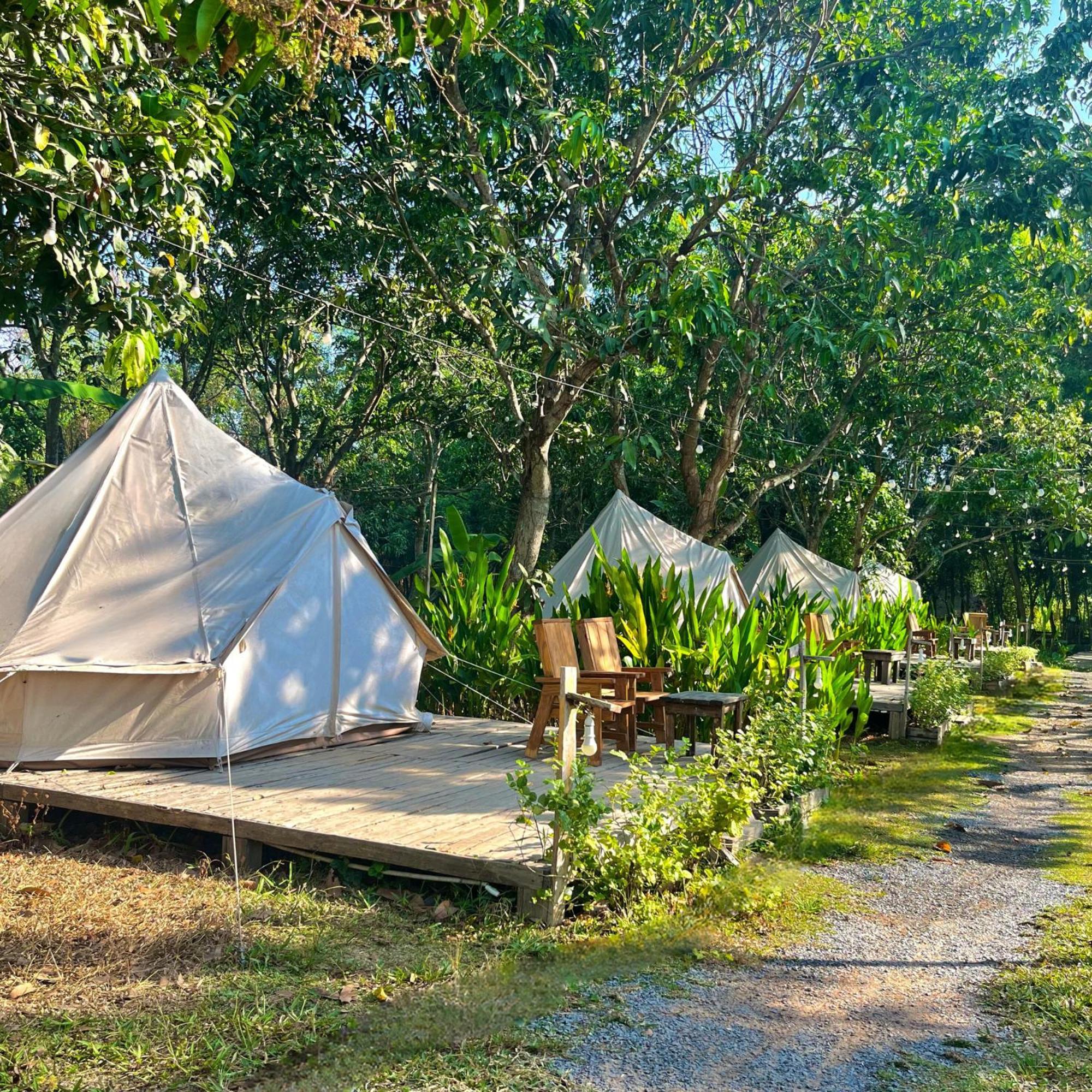 Binifarm Tropical Retreat Luxury tent *
