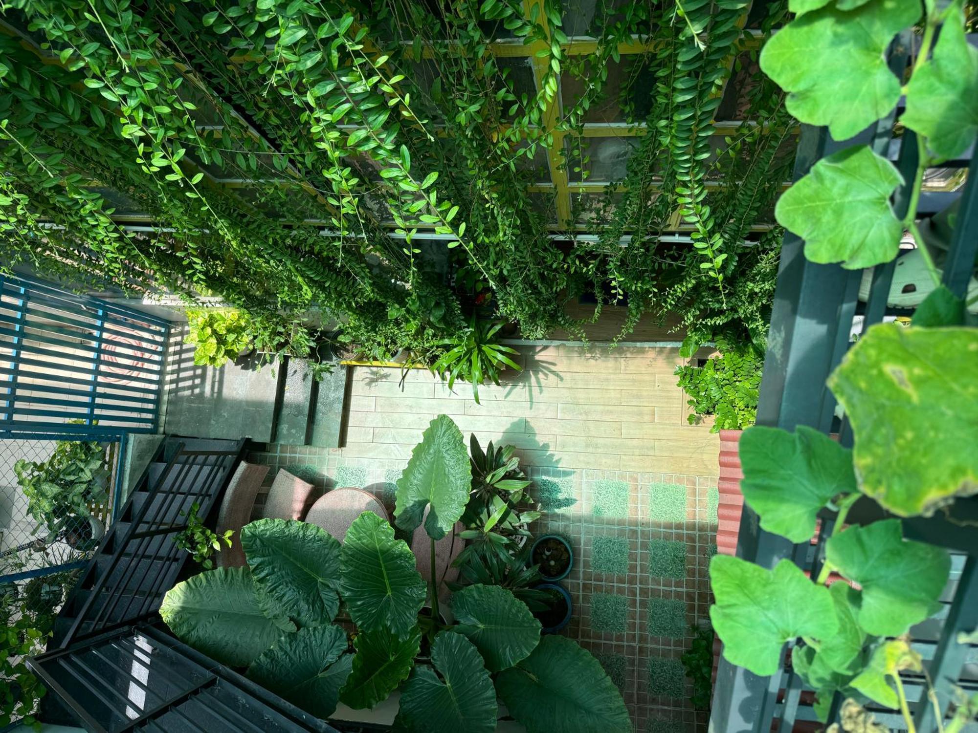 Vania House Hochiminh * Ho Chi Minh City