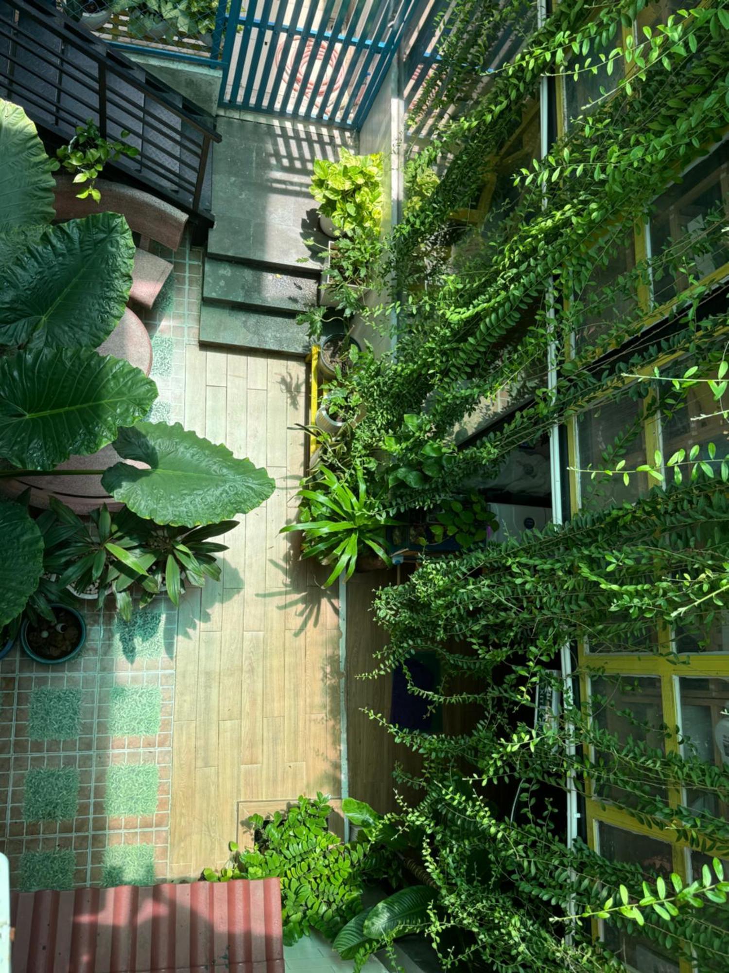Vania House Hochiminh