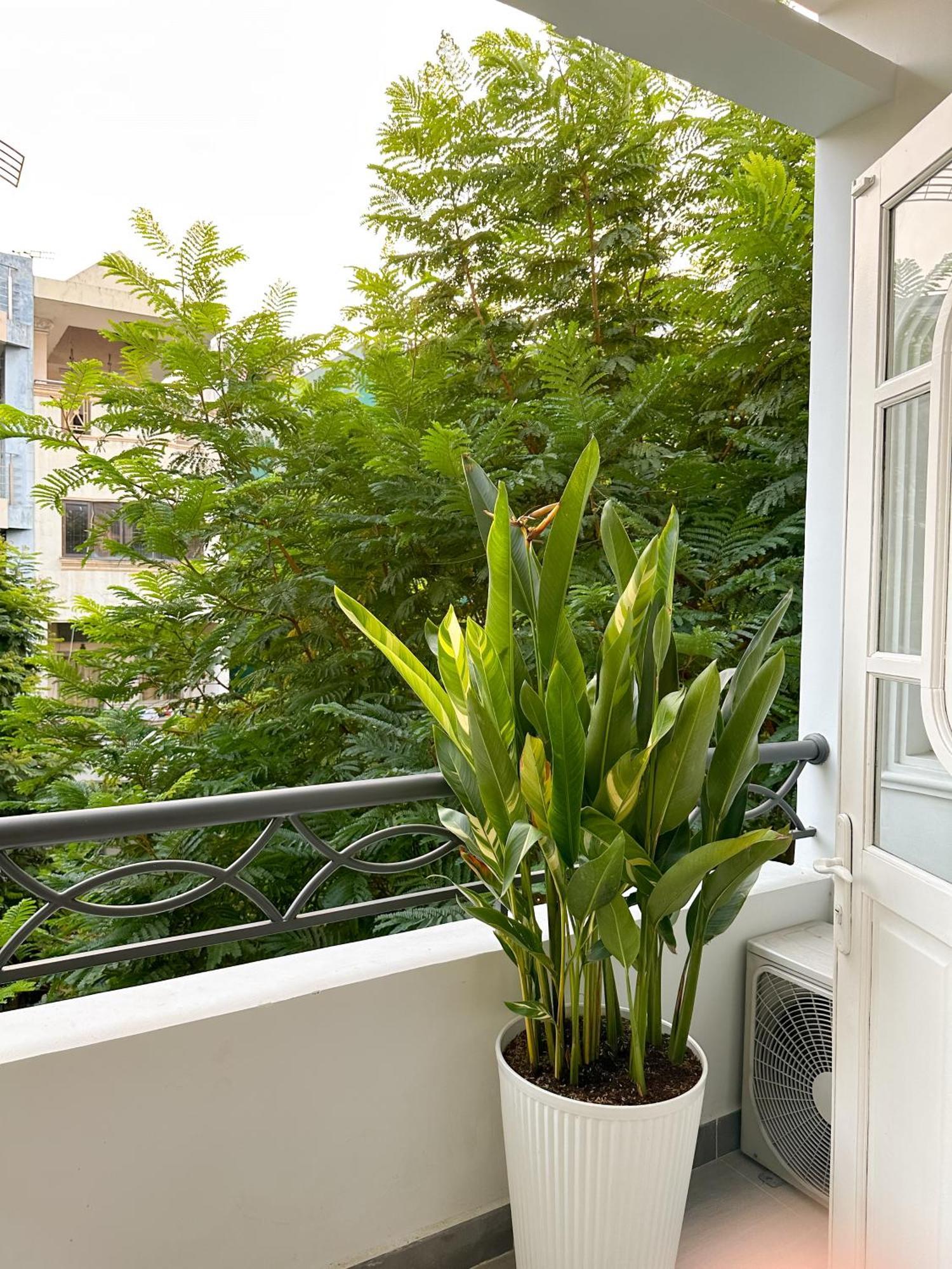 Calmette - Location District 1 - 500m Ben Thanh Market *