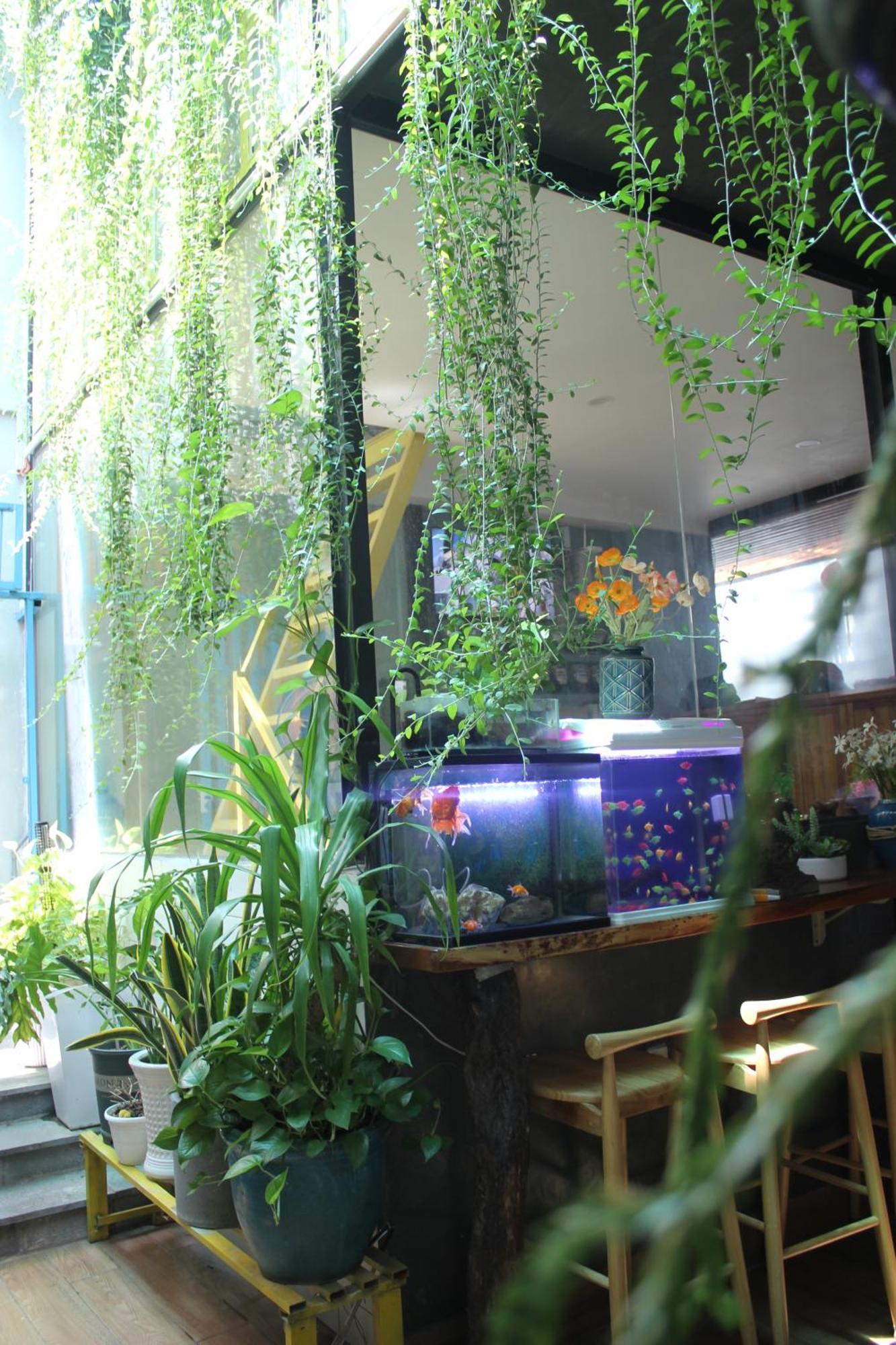 Apartment Vania House Hochiminh