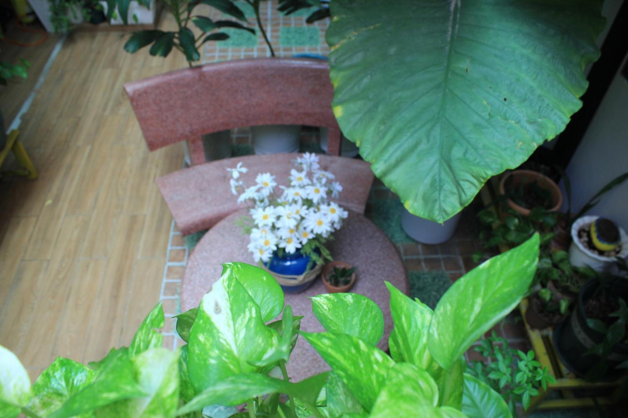 Vania House Hochiminh Apartment