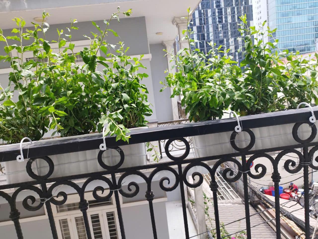 Bed & Breakfast 7 Ho Chi Minh City