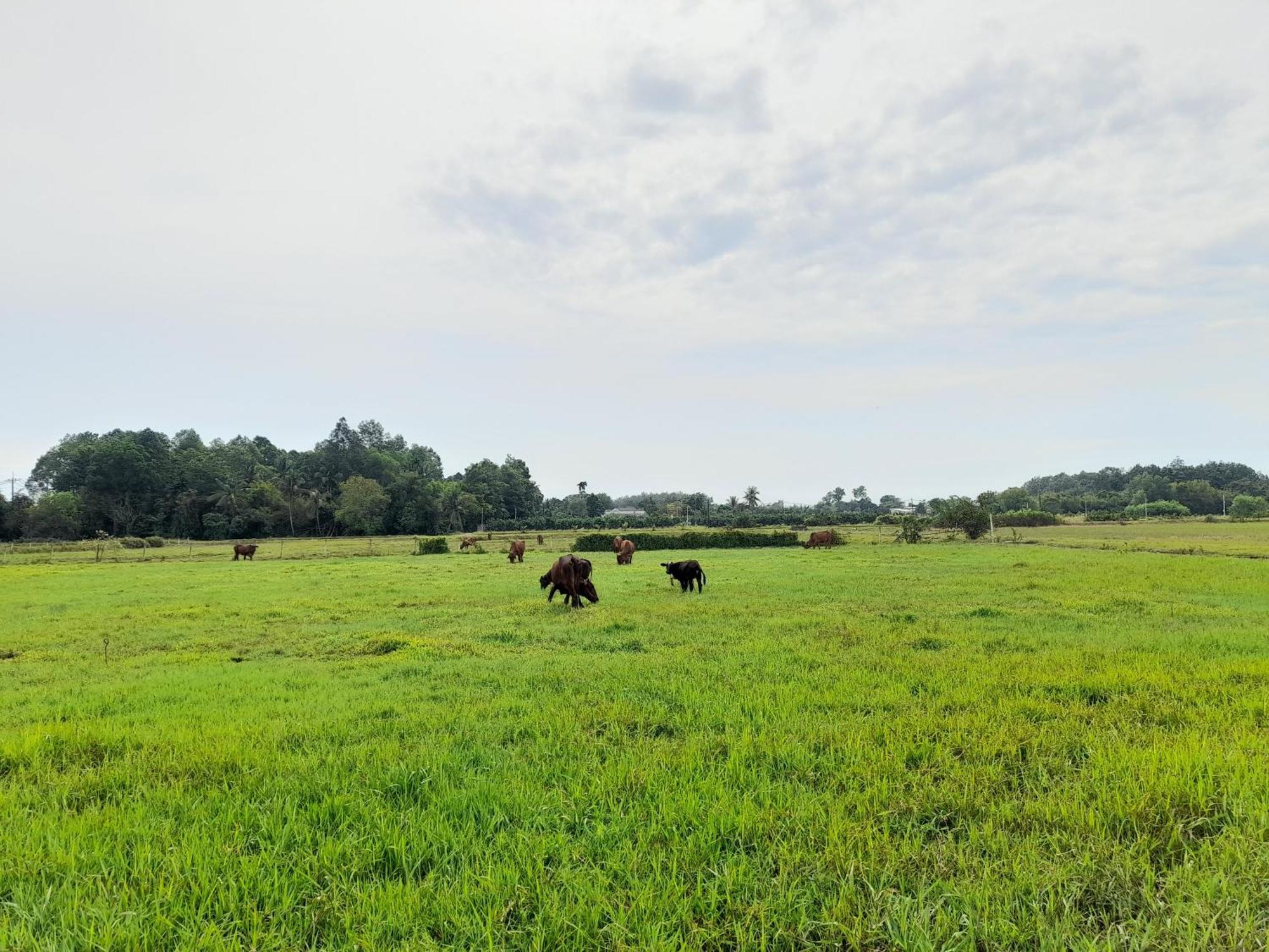 Cu Chi Boutique Countryside * Ho Chi Minh City