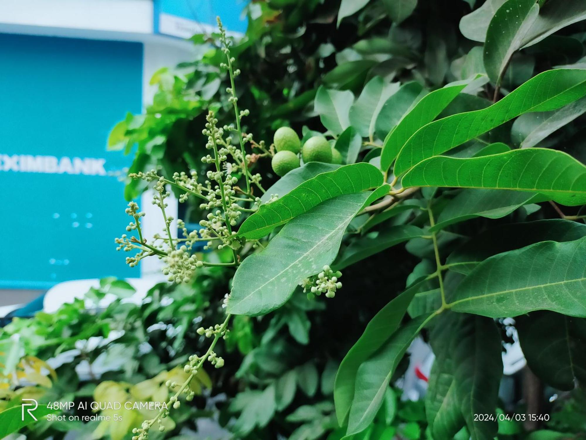Aparthotel Shusimi House & Boutique Near Tan Son Nhat Airport Ho Chi Minh City