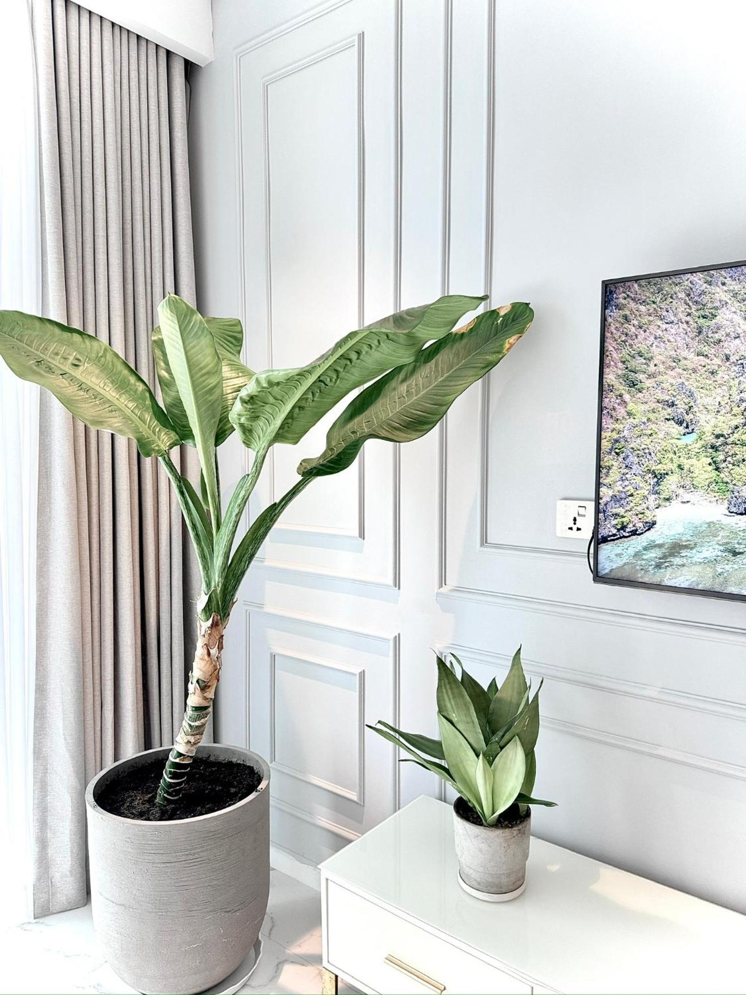 Apartment Metropole Thu Thiem - Luna - Chic, Unbeatable Location, Great Value!!! Ho Chi Minh City