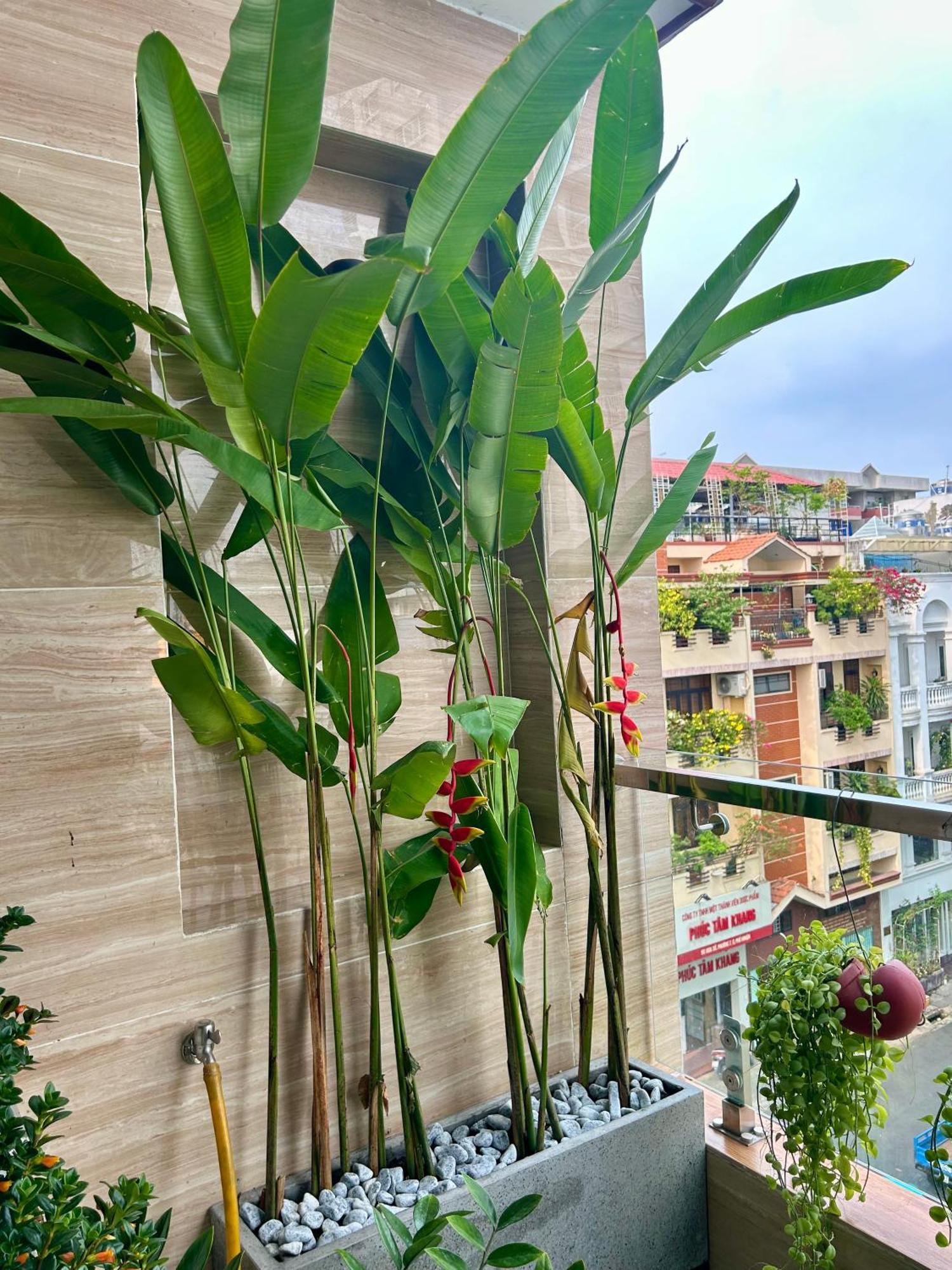 Guest house Cozy With Balcony 10mins To Airport Maihouse Ho Chi Minh City