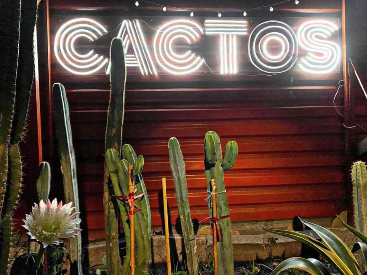 Bed & Breakfast Cactos Chill &
