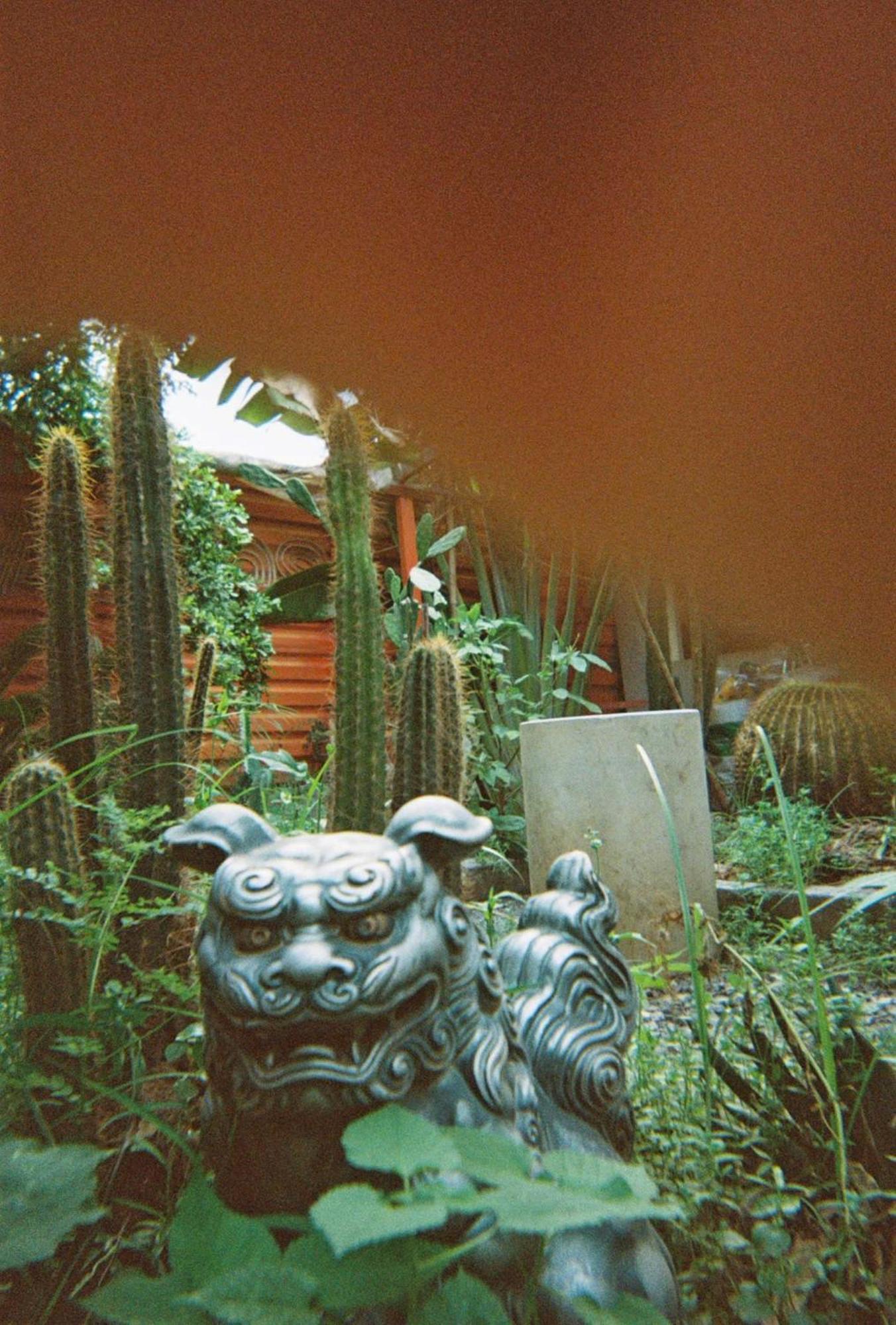 Cactos Chill & Ho Chi Minh City