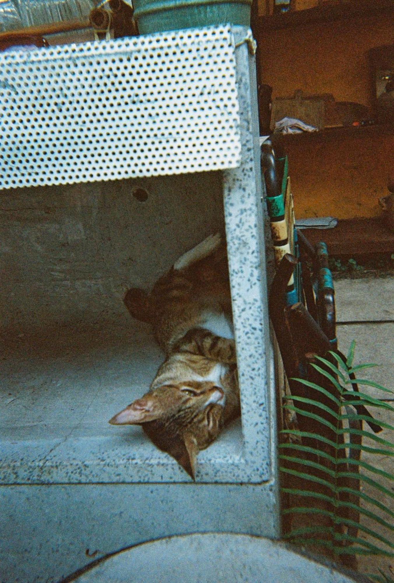 Bed & Breakfast Cactos Chill &