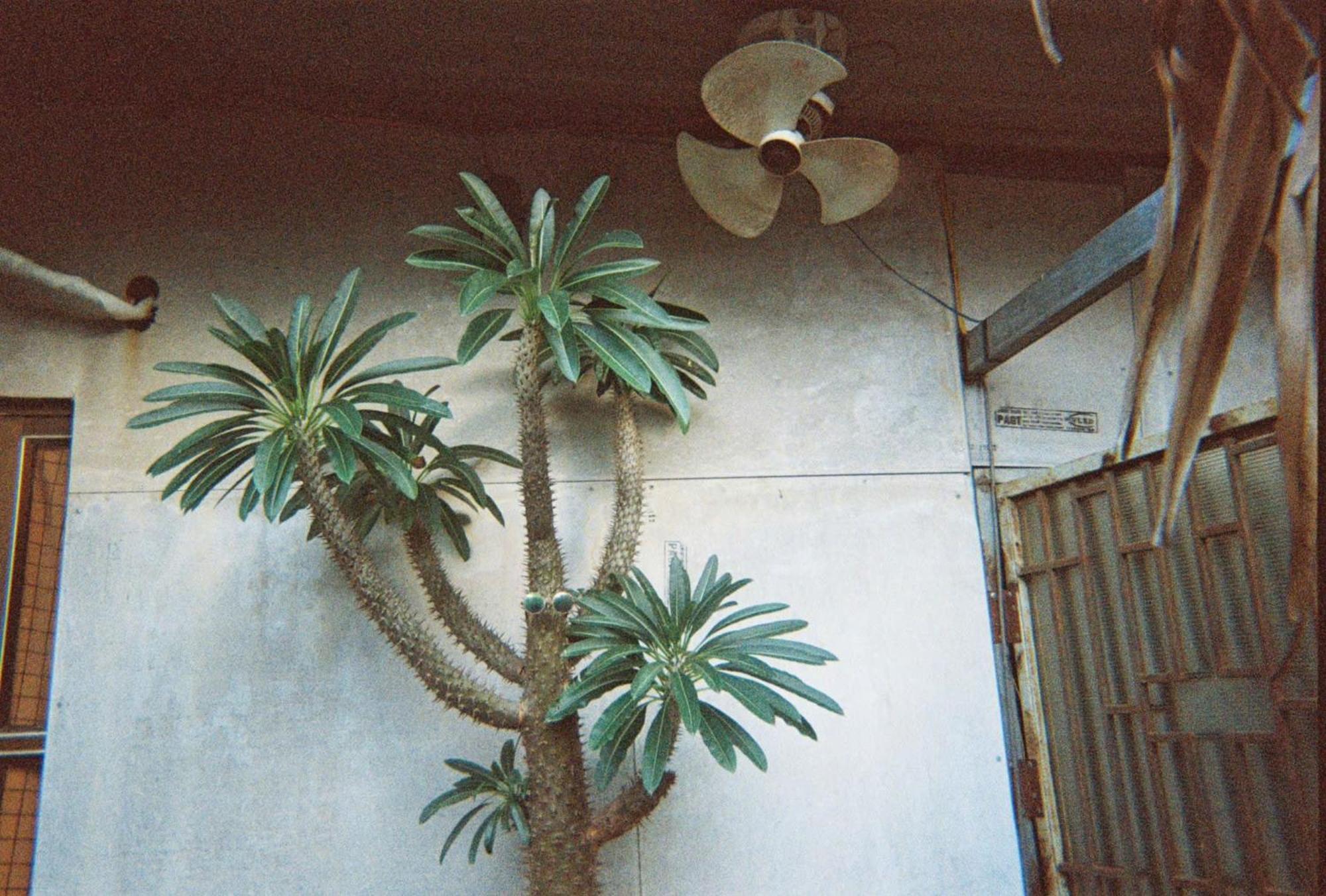 Cactos Chill & Bed & Breakfast *