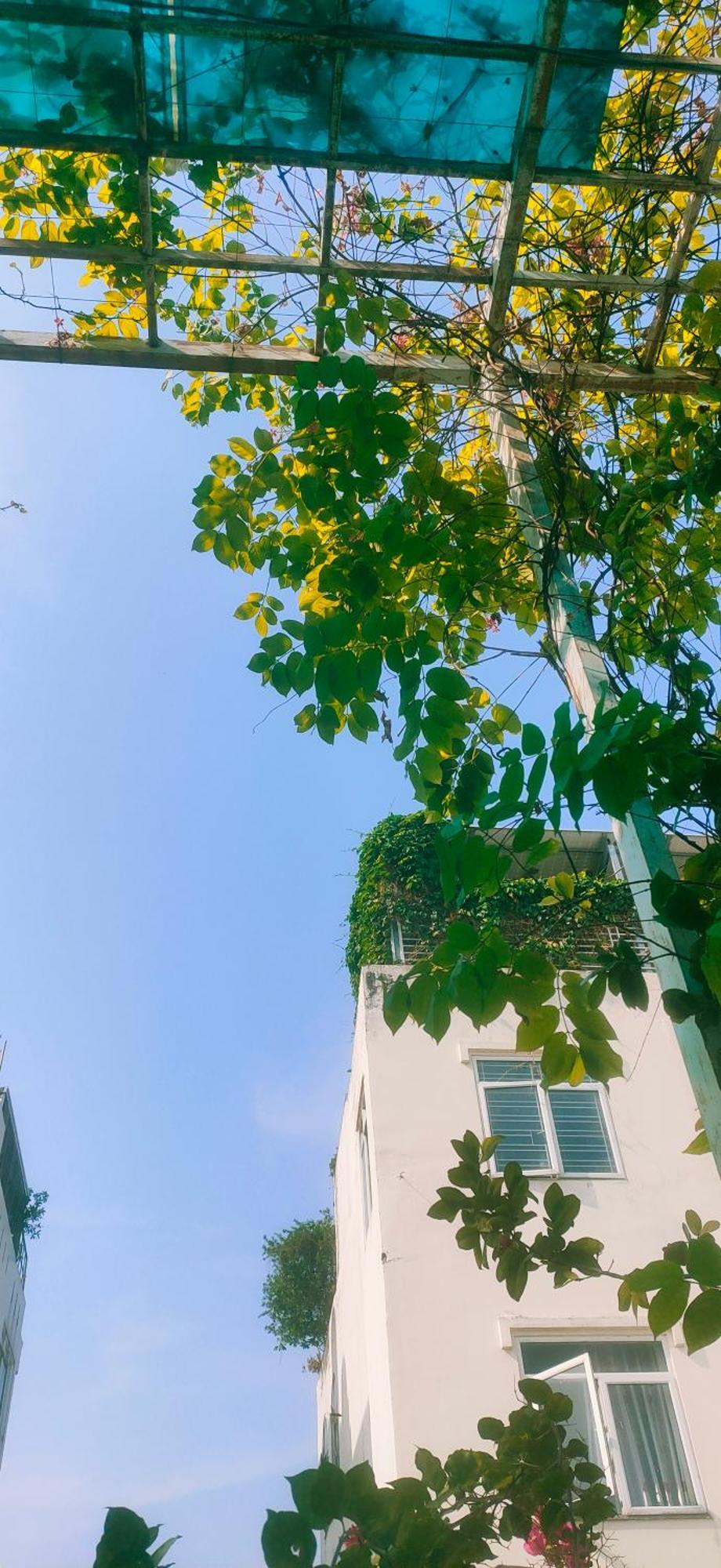 Huong's * Bandar Ho Chi Minh