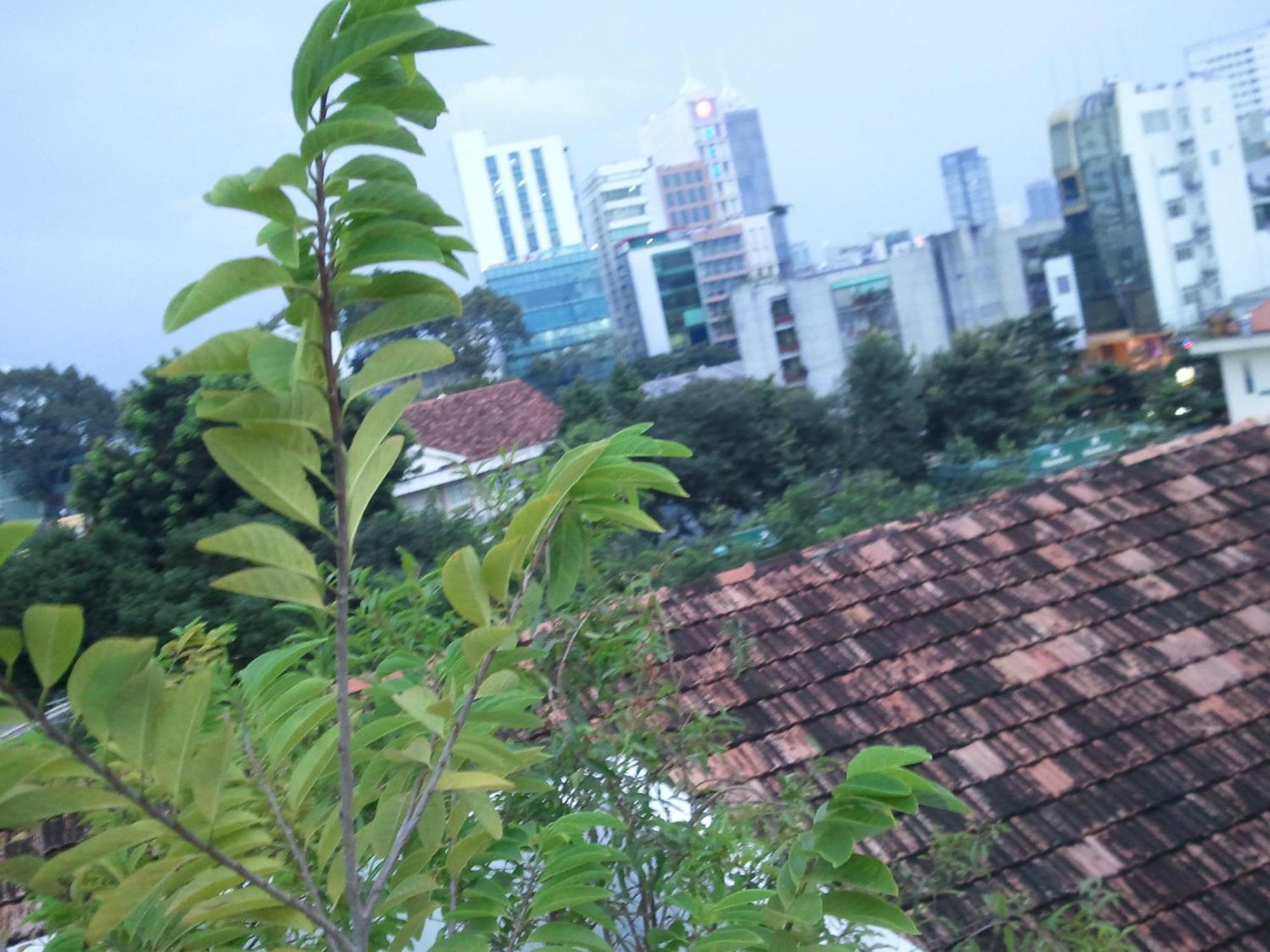Huong's Homestay *