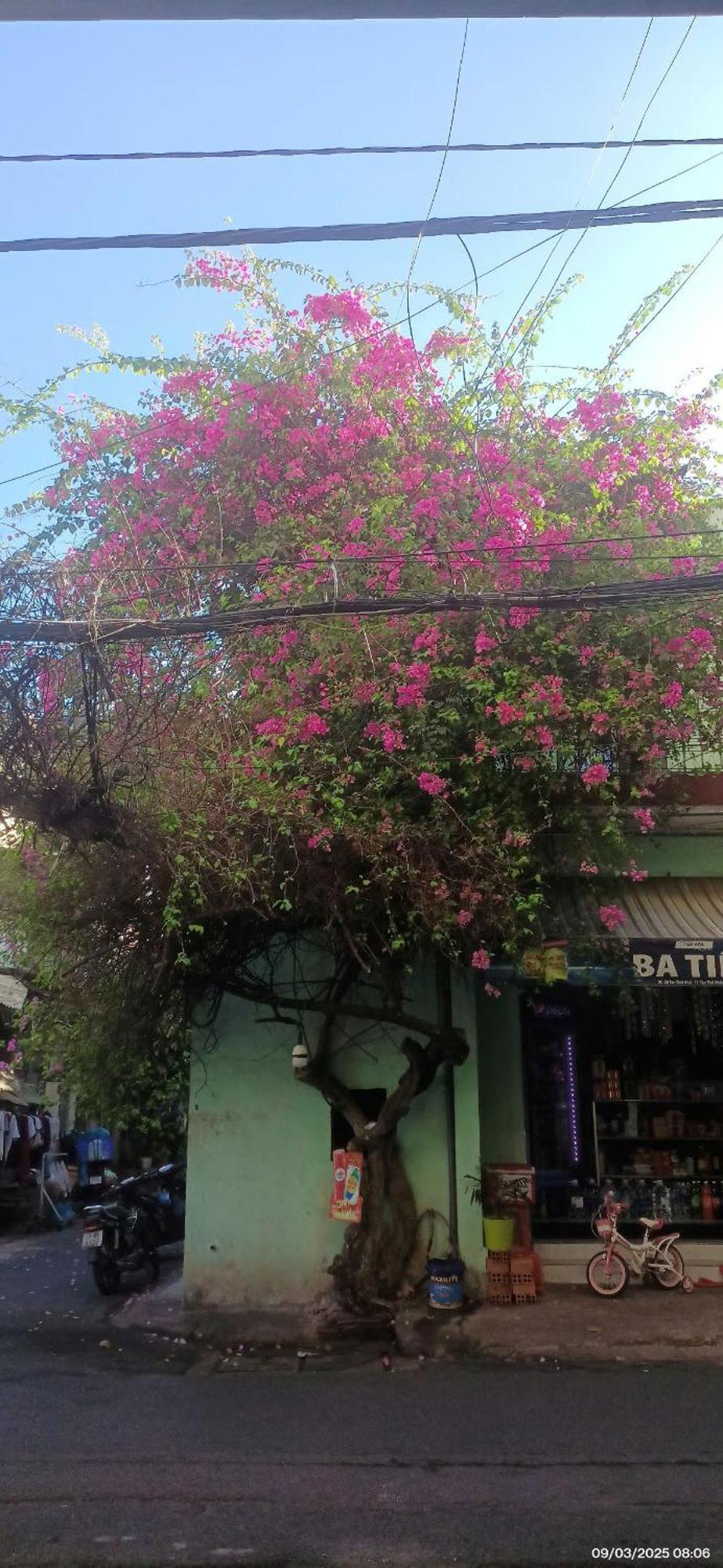 To Am Nho Staycation - Migration Season Guest house *