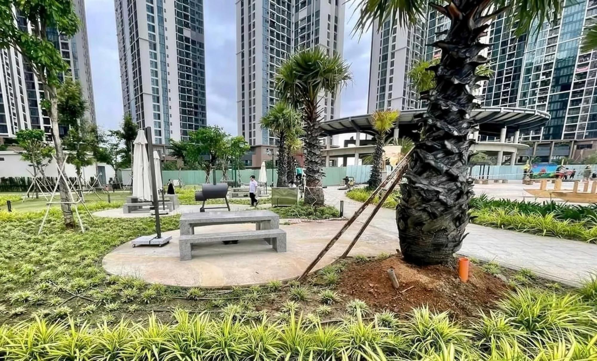 Căn hộ Eco Saigon - Free Gym & Netflix & Pool