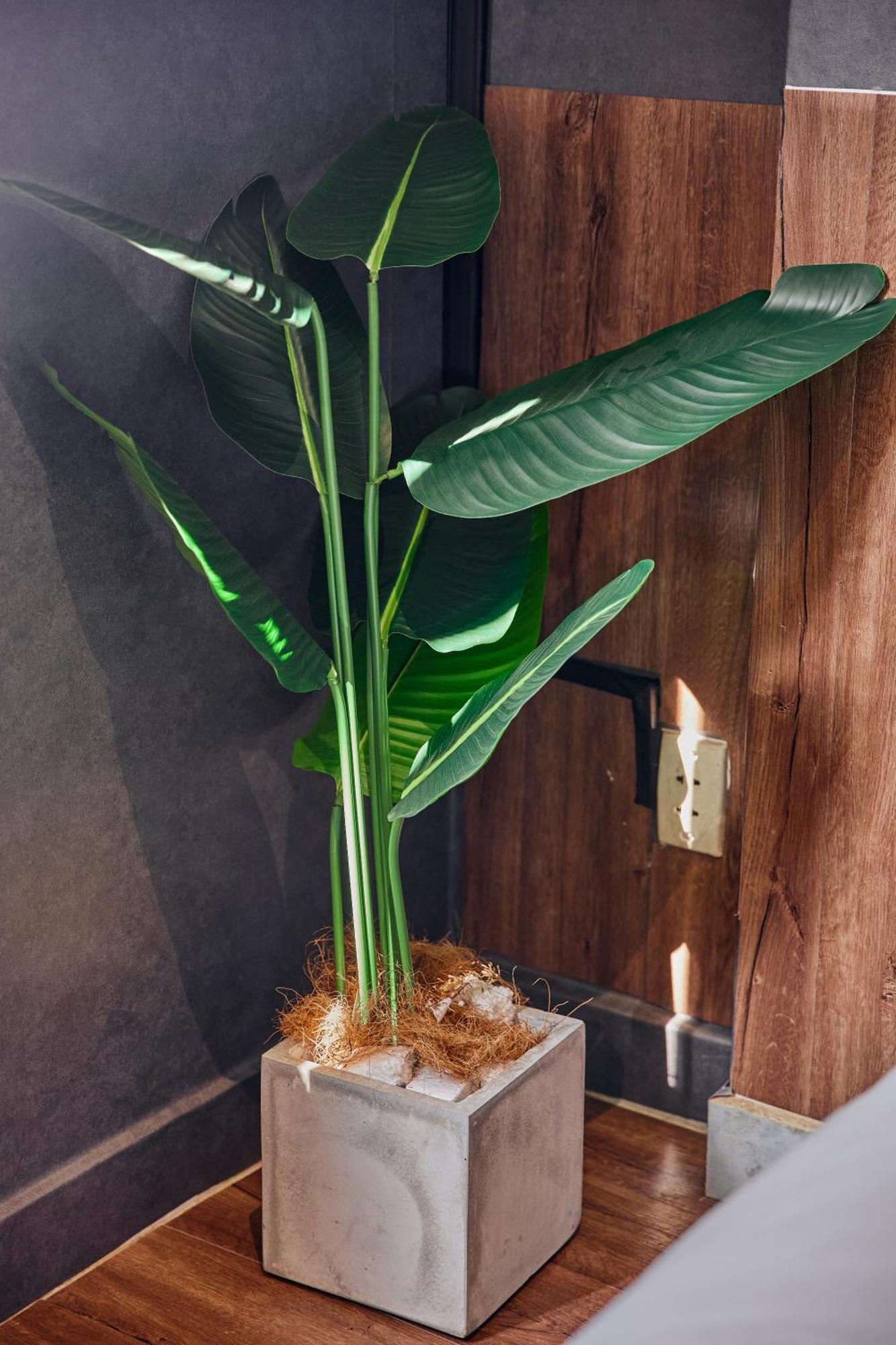 Mg Rose Boutique Hotel Bandar Ho Chi Minh