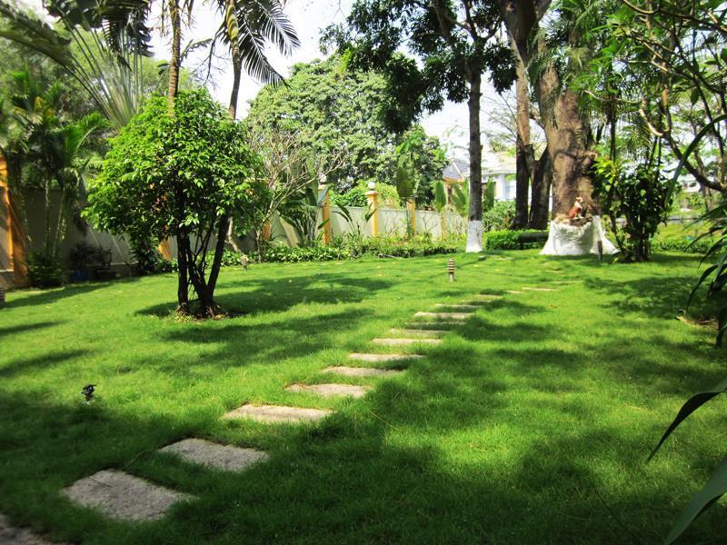 Hills Serviced Apartment