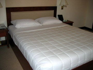 Hotel Metropole Saigon 4*