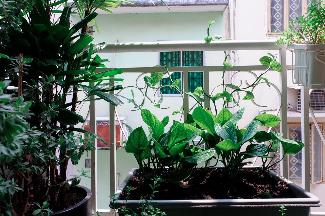 Homestay Magari