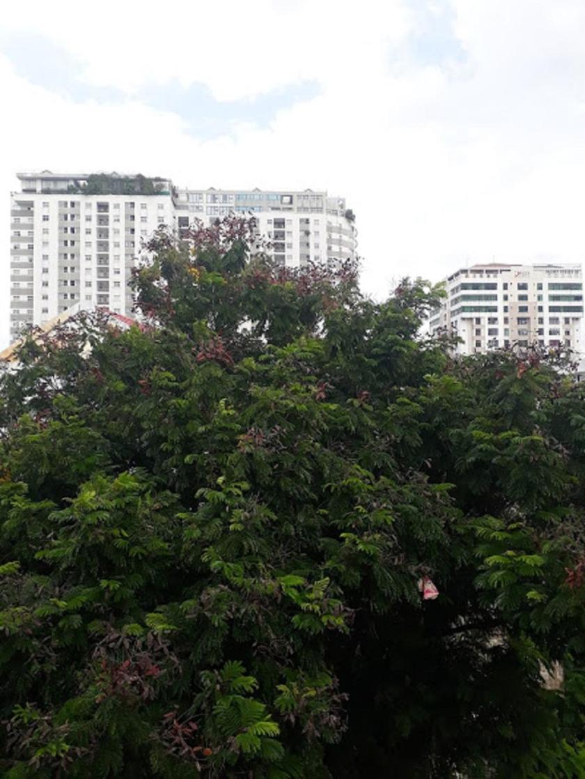 Homestay Homestay In 3d Ho Chi Minh City