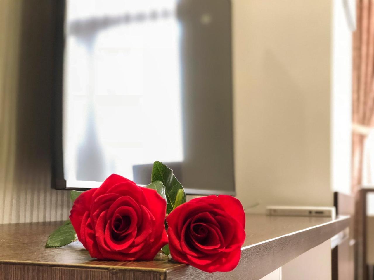 Sunny Serviced Apartment *