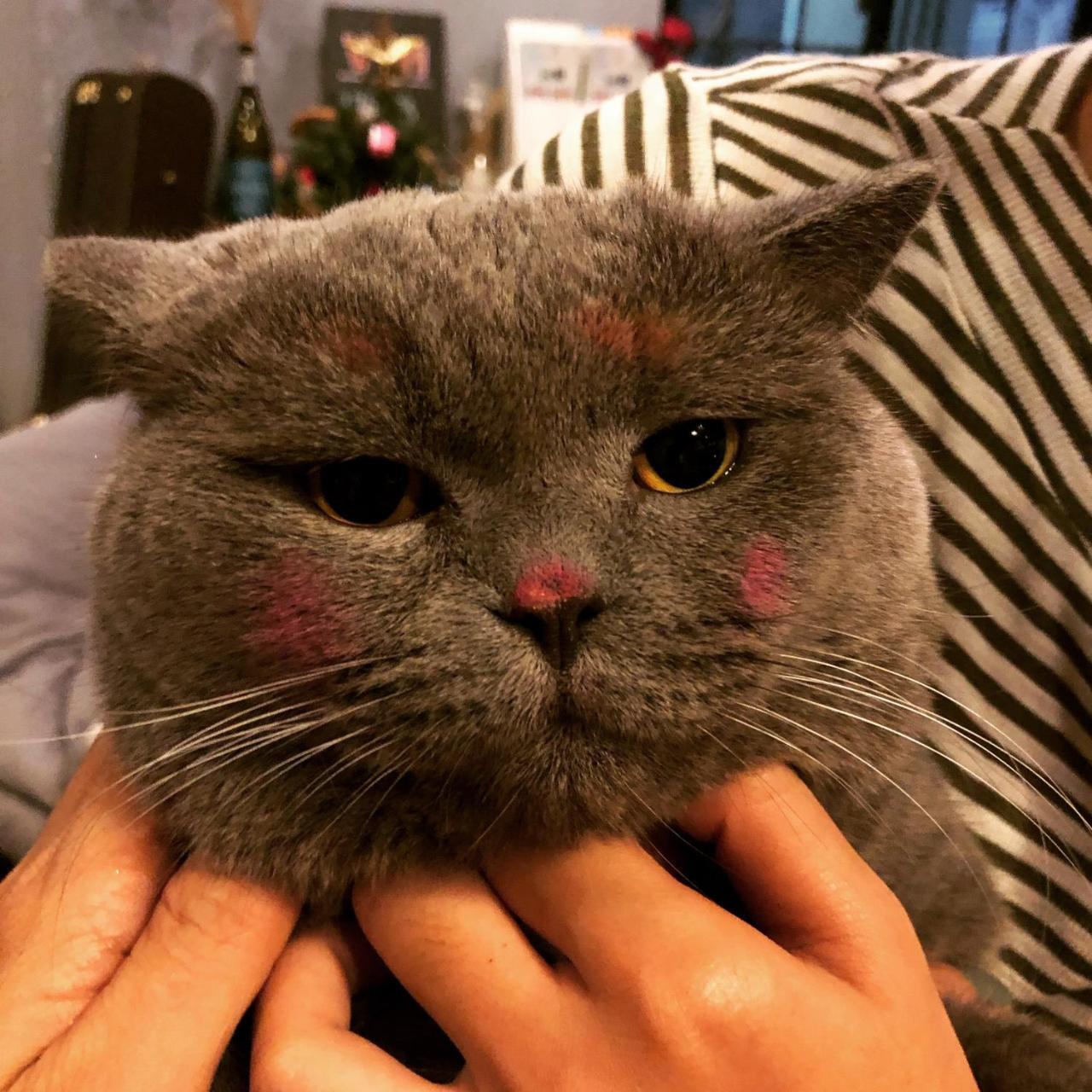 Coco nhà trọ TP. Hồ Chí Minh