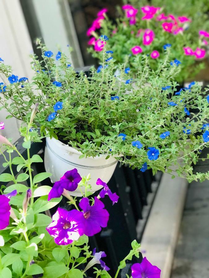 Lila & Hung Gia 4 Khách sạn hẻo lánh TP. Hồ Chí Minh