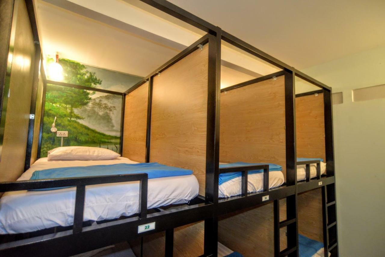 Jungle House Asrama