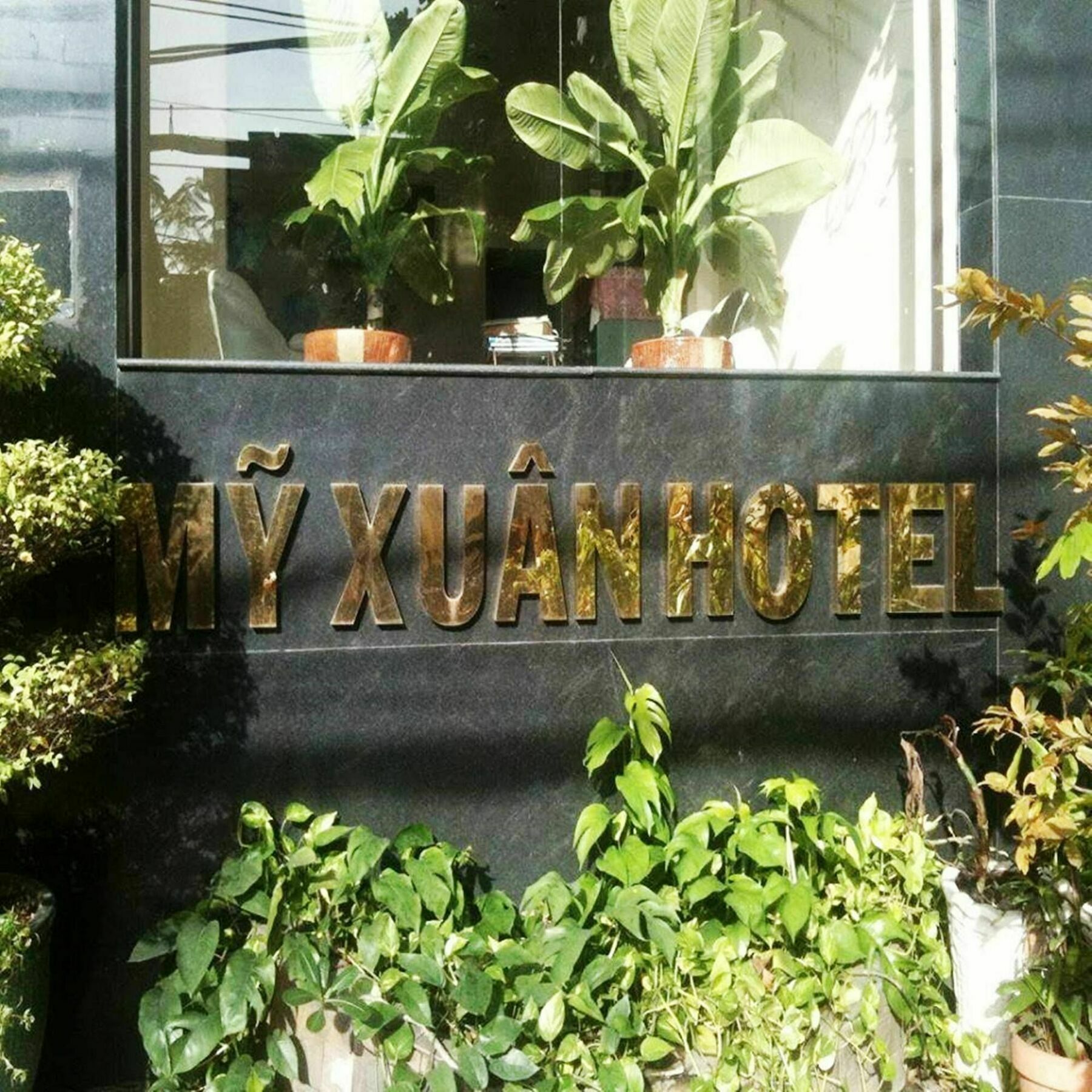 My Xuan Ho Chi Minh City