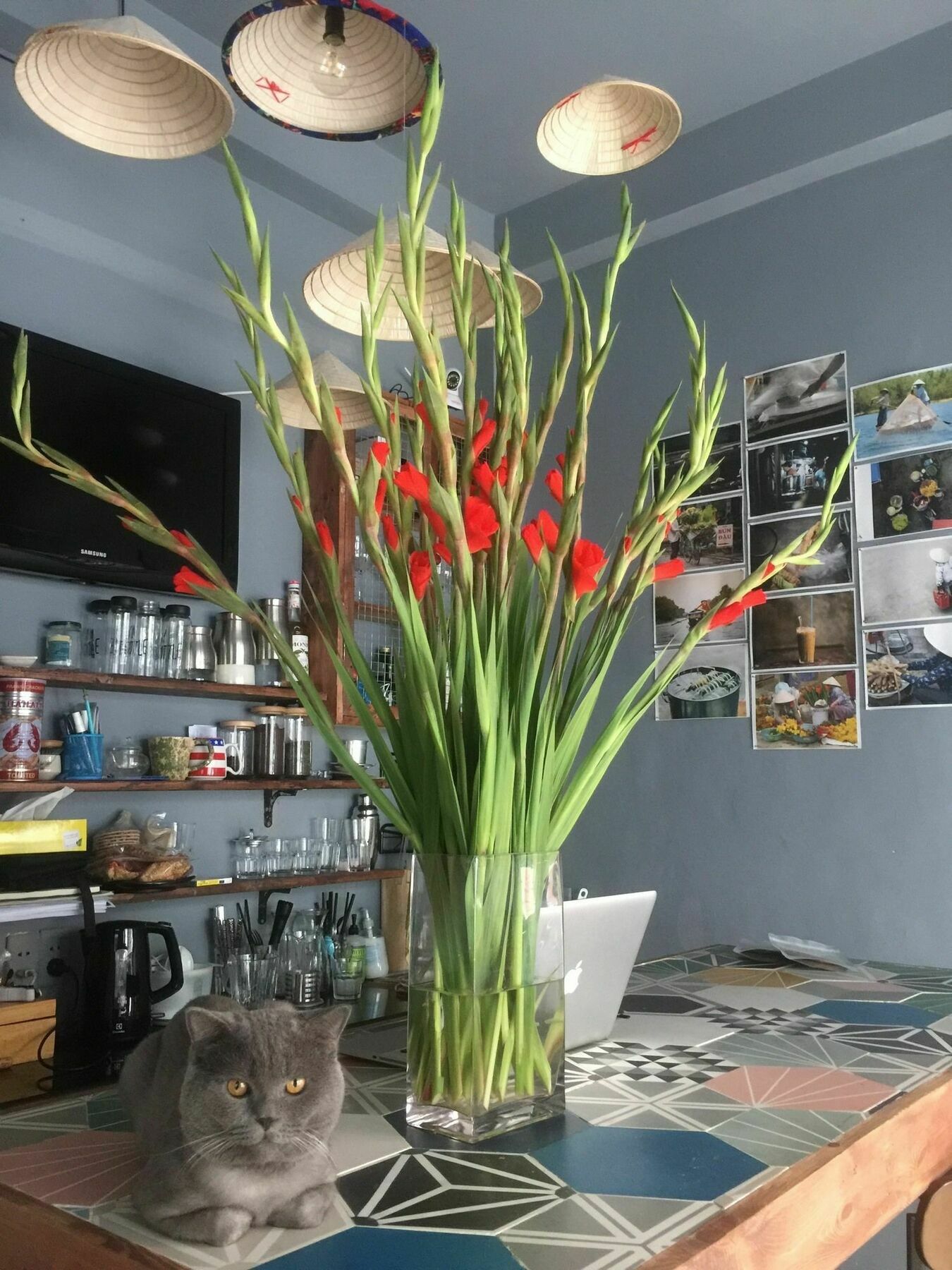 nhà trọ Coco TP. Hồ Chí Minh