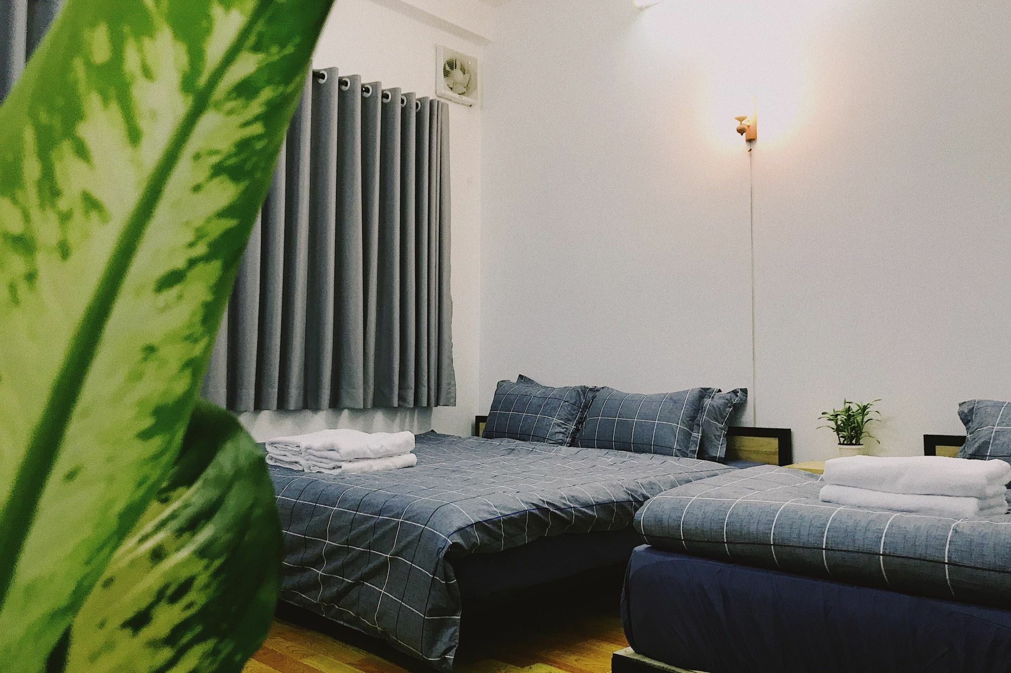Condodo Hostel