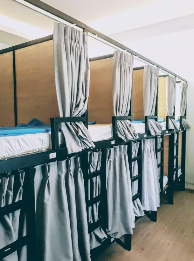Asrama Jungle House