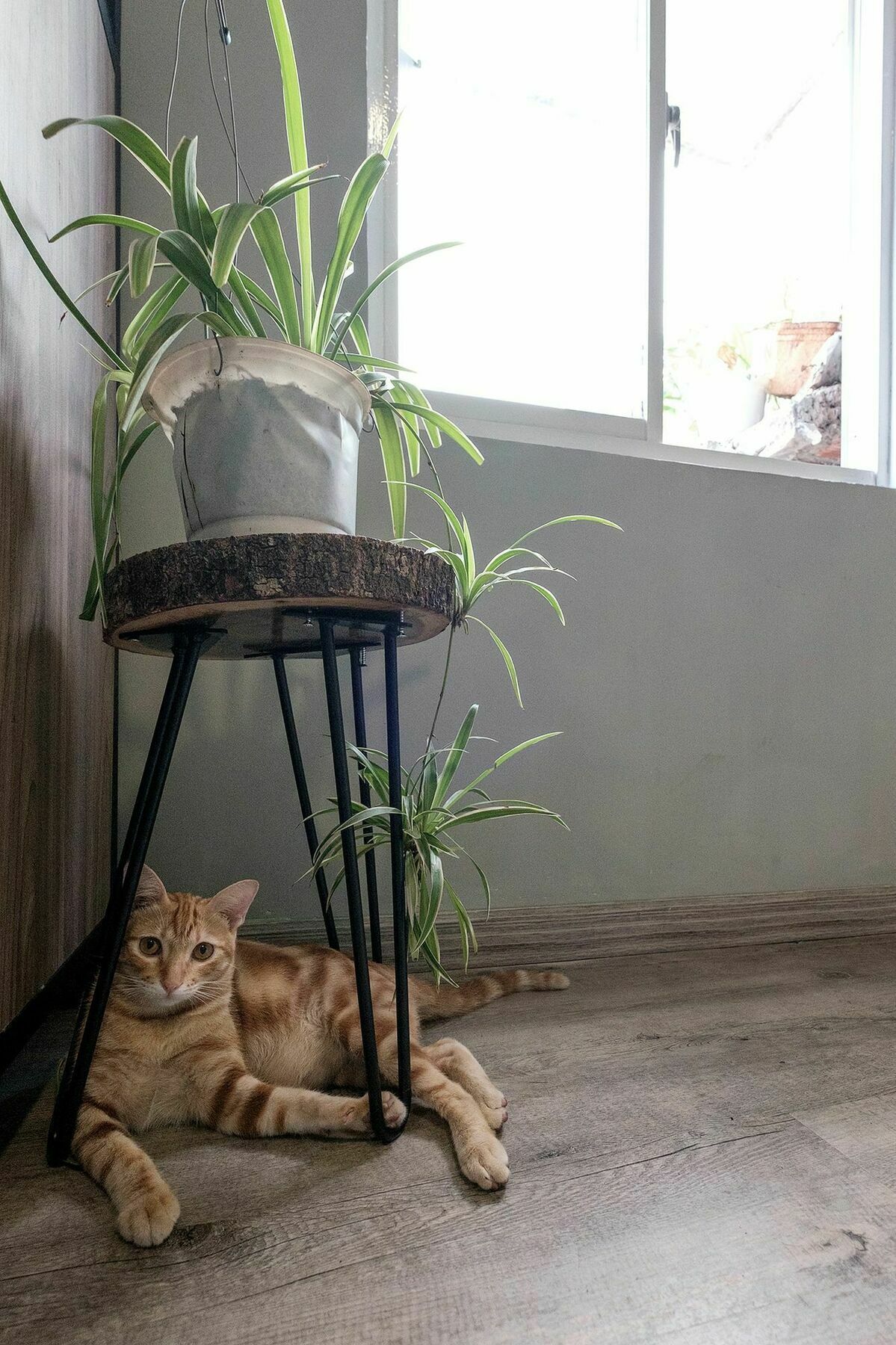 Hostel Saigon Inner